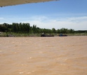Yellow River waters during the water and sediment regulation season aimed at clearing sediment.